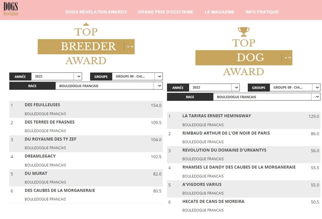 CLASSEMENT DOGS REVELATION AWARDS 2022